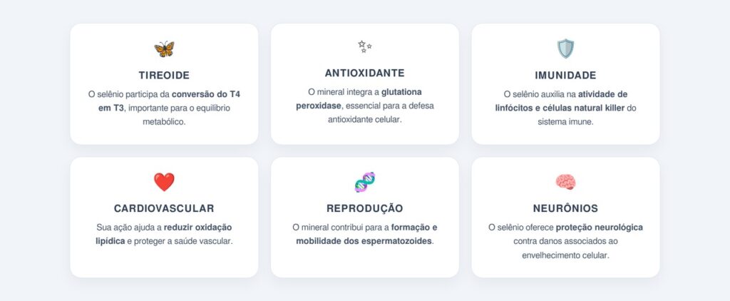 Quais são as principais propriedades?