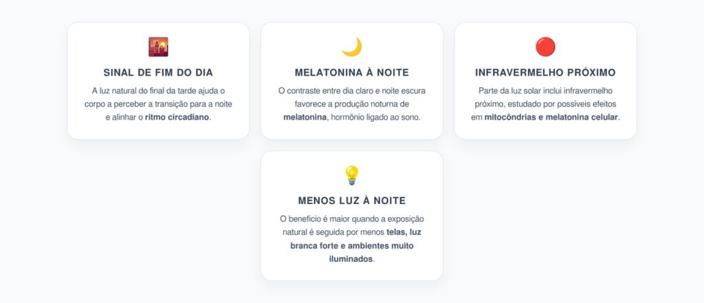 Luz Infravermelha Natural: Como o Fim da Tarde Prepara o Corpo para Dormir