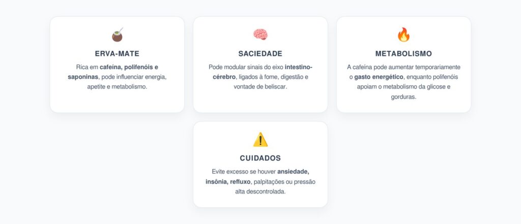 Erva-Mate e Saciedade: Como o Chimarrão Afeta Apetite, Energia e Metabolismo