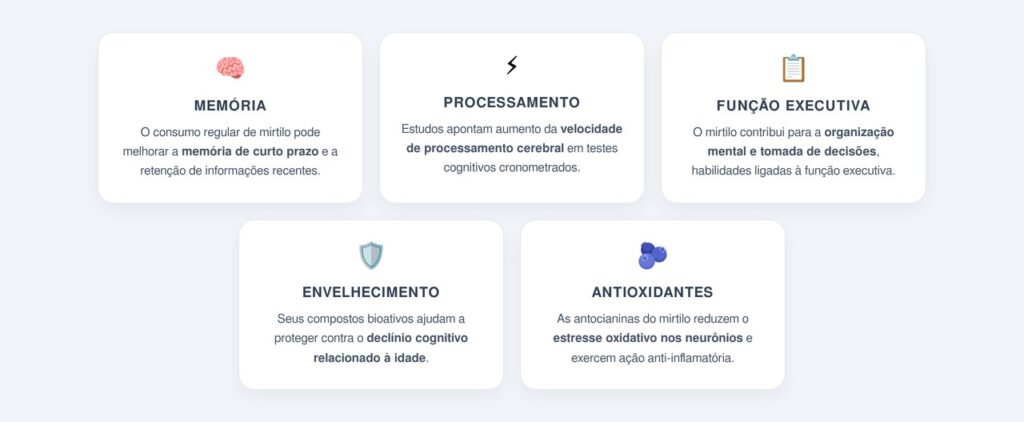 Quais são os principais benefícios do mirtilo para a memória?