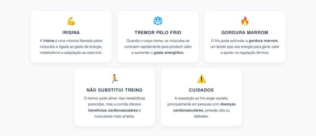 Hormônio Irisina: Como o Frio Ativa o Metabolismo e a Gordura Marrom