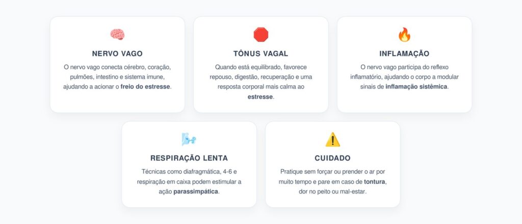 Nervo Vago: 3 Respirações para Ativar o Freio do Estresse