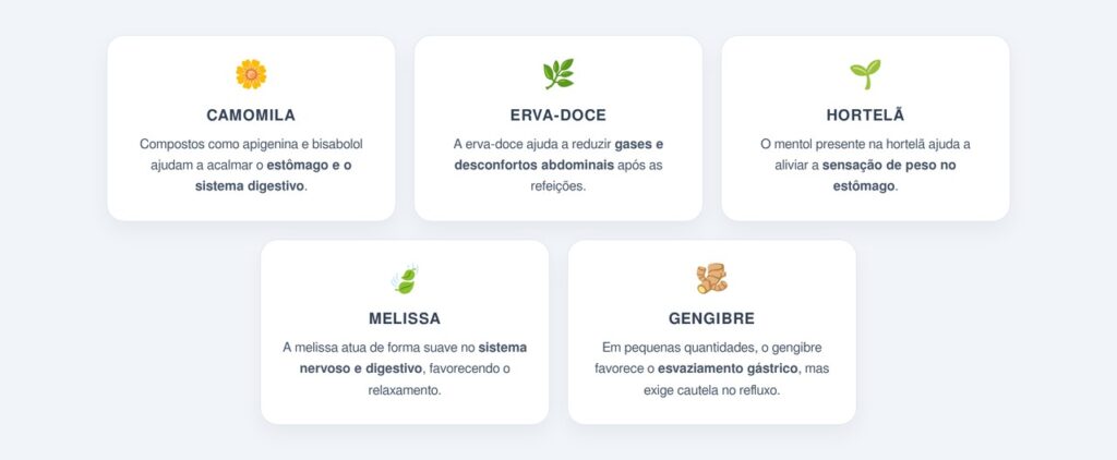 Quais chás leves favorecem a digestão à noite?