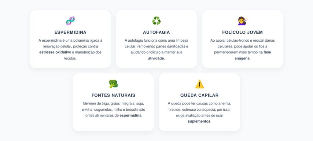 Espermidina e Autofagia Capilar: Como Proteger os Folículos da Queda