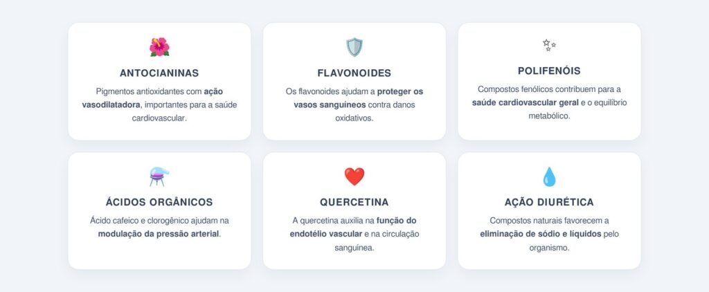 Quais são os compostos bioativos do hibisco?