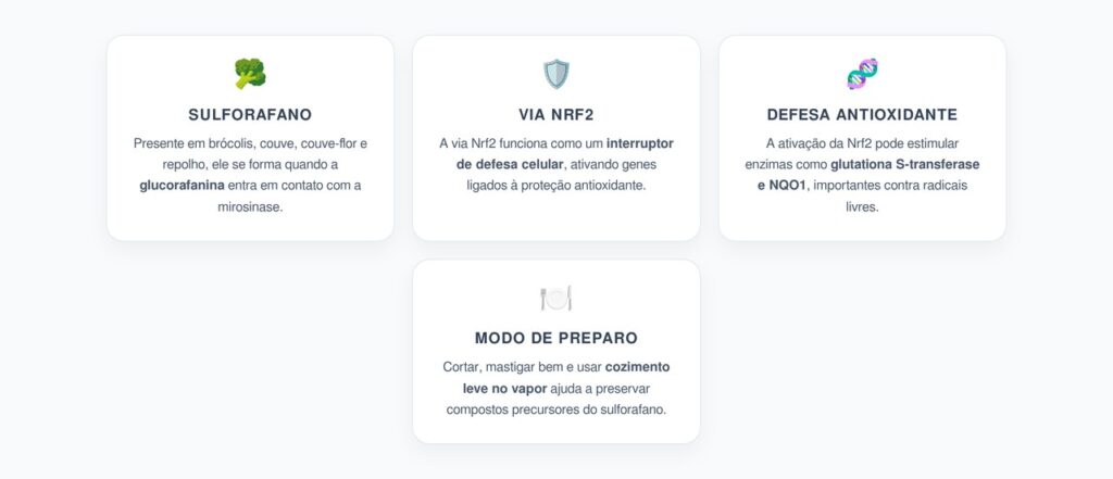 Sulforafano e Nrf2: Como os Crucíferos Ativam a Defesa Natural do Fígado