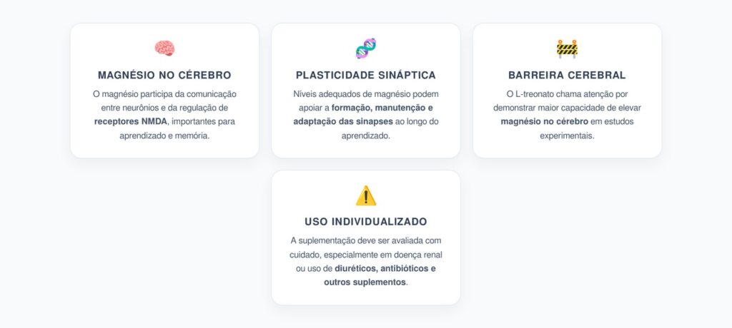 Magnésio Treonato: Como Ele Apoia a Plasticidade Sináptica e a Memória