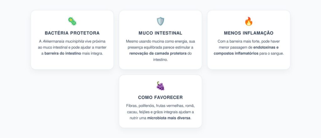 Akkermansia muciniphila: A Bactéria que Reforça a Barreira Intestinal e Reduz Inflamação