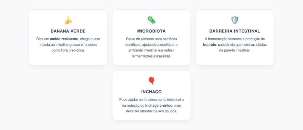 Amido Resistente da Banana Verde: Intestino Mais Forte e Menos Inchaço