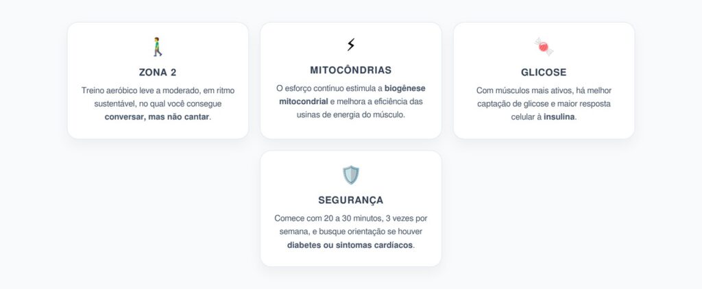 Treino em Zona 2: Mitocôndrias Fortes Contra a Resistência à Insulina