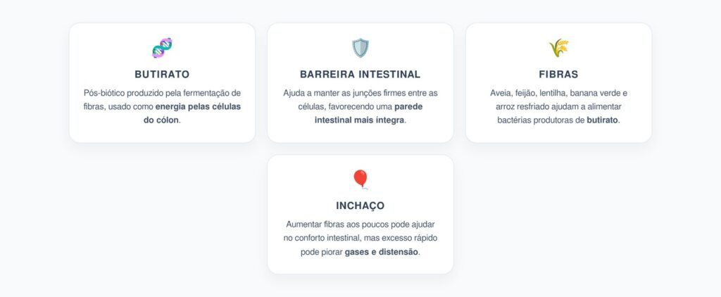 Butirato no Intestino: Barreira Mais Forte e Menos Inflamação