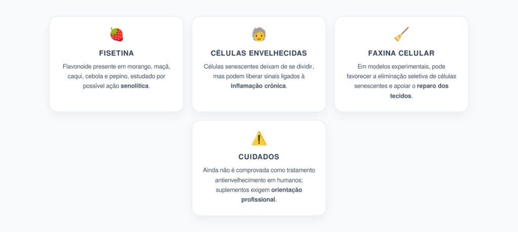 Fisetina e Faxina Celular: O Que Acontece com as Células Envelhecidas
