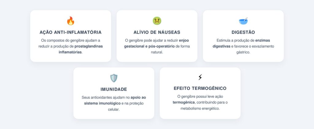 Quais são os benefícios do gengibre nessa combinação?