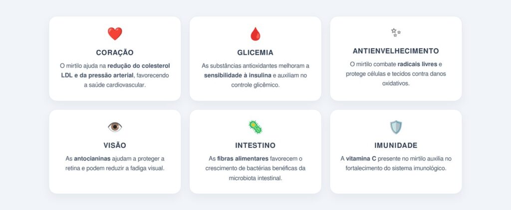 Quais são os outros benefícios do mirtilo?