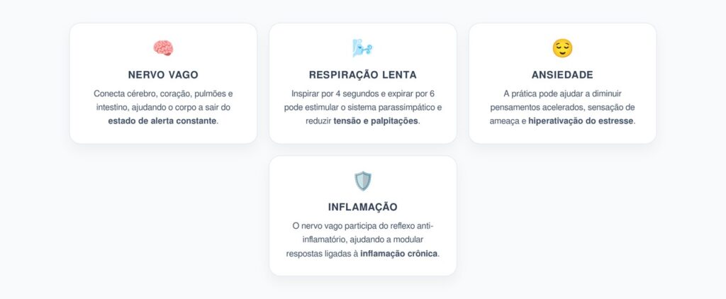 Nervo Vago e Respiração: A Técnica Para Ansiedade e Inflamação Crônica