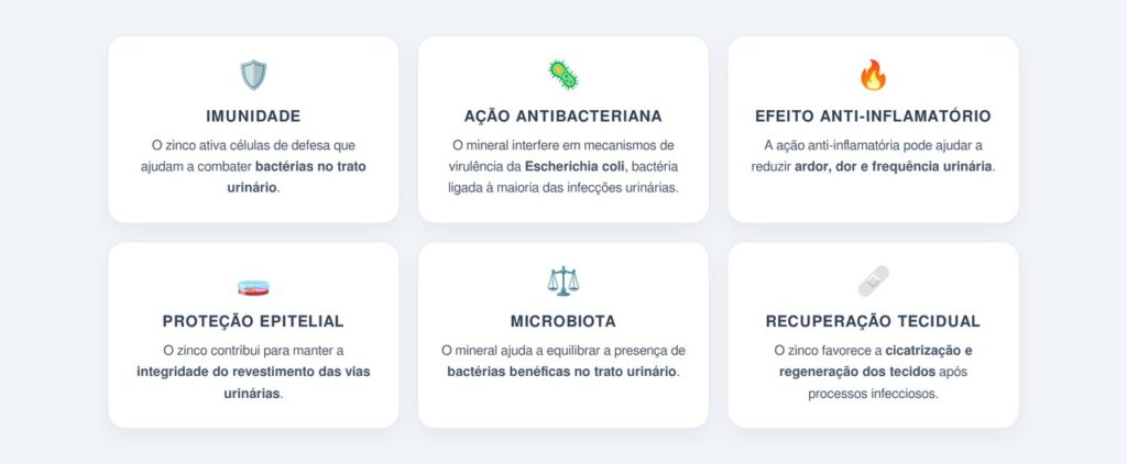 Quais são os principais benefícios do zinco?