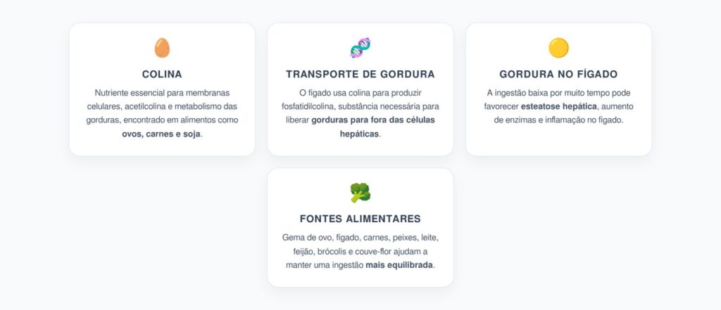 Colina e Fígado: O Nutriente Essencial Contra o Acúmulo de Gordura