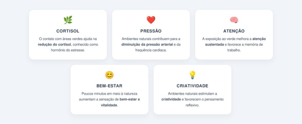 Como o contato com a natureza atua no cérebro?