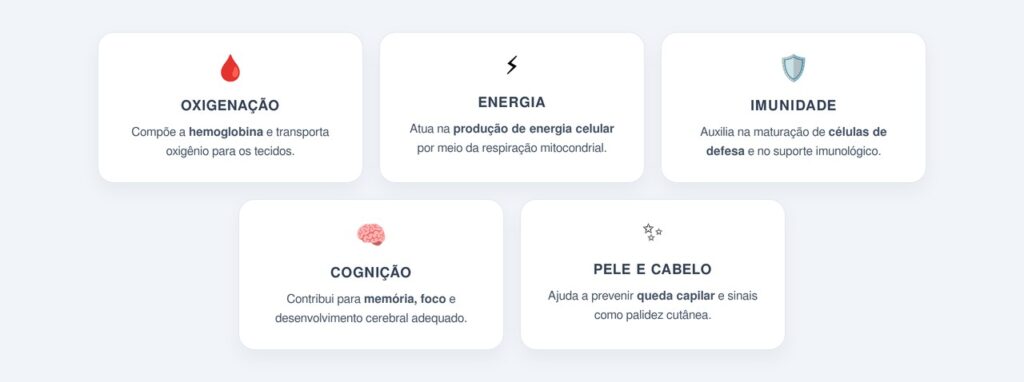 Quais são as principais propriedades do ferro?