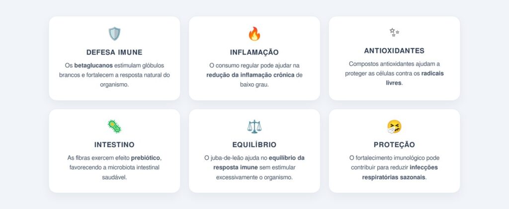 Quais são os benefícios do juba-de-leão para a imunidade?