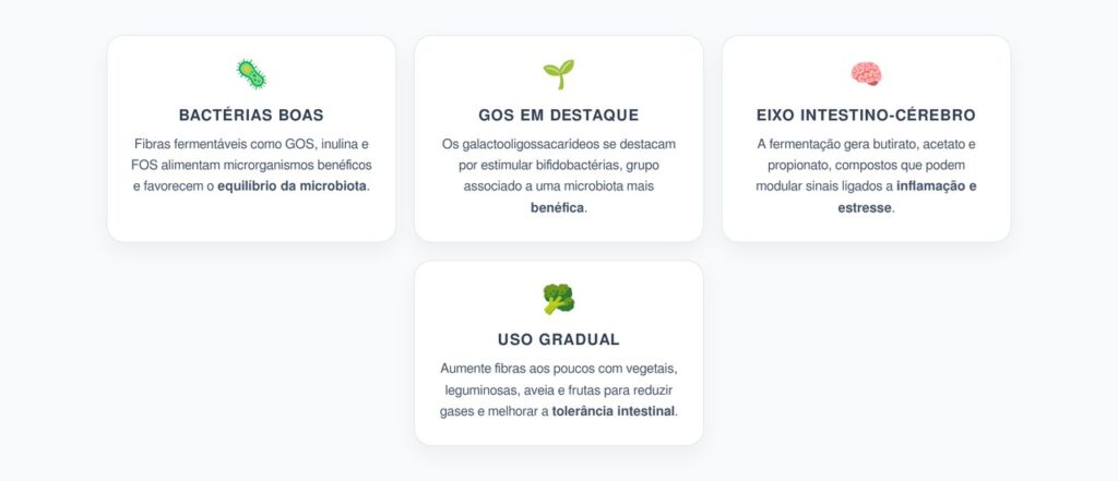 Fibras Prebióticas para Intestino, Neuroinflamação e Ansiedade
