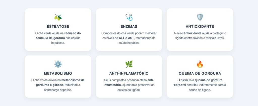 Quais são os benefícios do chá verde para a desintoxicação hepática?