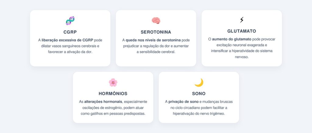 Quais são os principais gatilhos neuroquímicos?