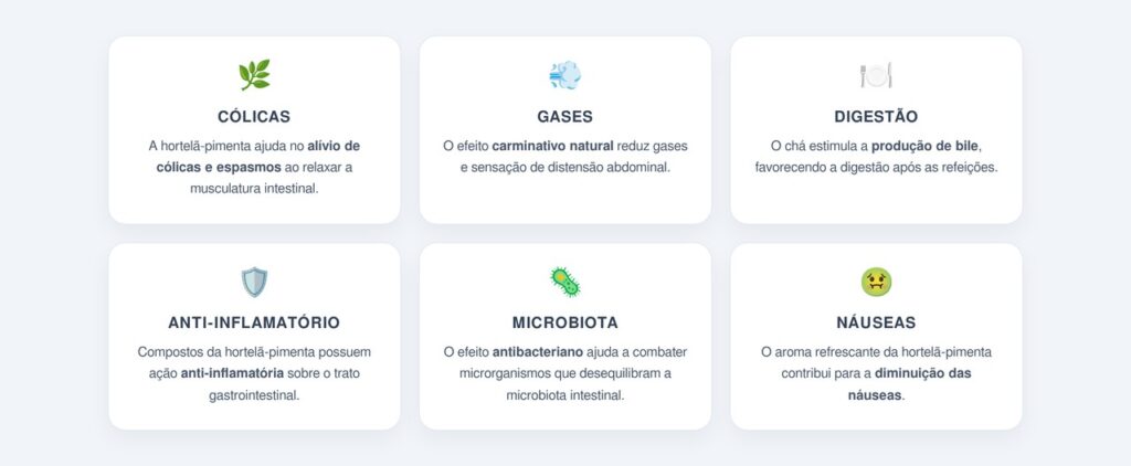 Quais são os benefícios do chá de hortelã-pimenta para o intestino?