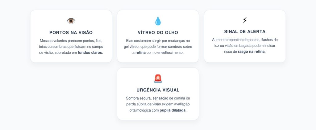 Moscas Volantes: Quando os Pontos na Visão Podem Indicar Risco para a Retina