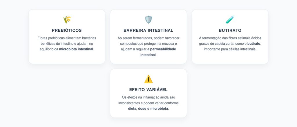 Fibras Prebióticas: Barreira Intestinal e Inflamação no Corpo