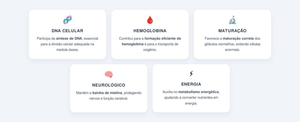 Como a vitamina B12 atua na produção de glóbulos vermelhos?