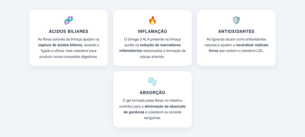 Quais os mecanismos de ação no organismo?