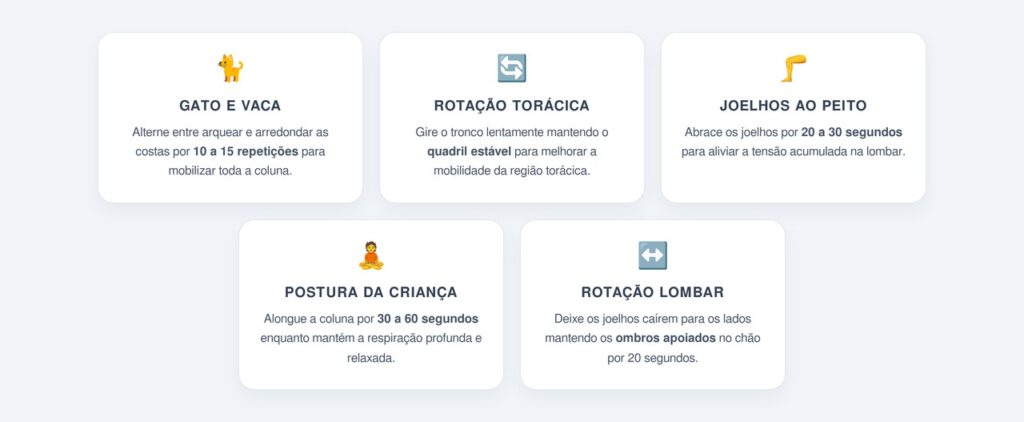 Quais exercícios devolvem a mobilidade torácica e lombar?