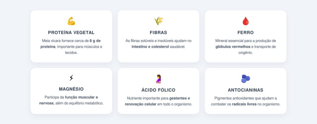 Quais nutrientes o feijão preto oferece?