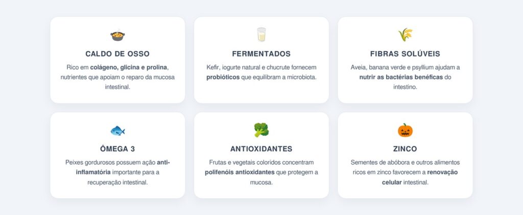 Quais alimentos ajudam a regenerar a mucosa intestinal?