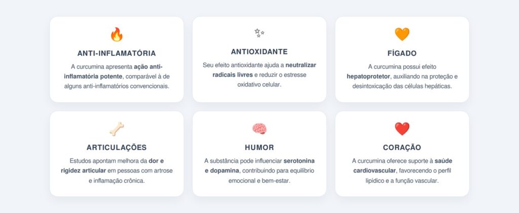 Quais são as principais propriedades da curcumina?