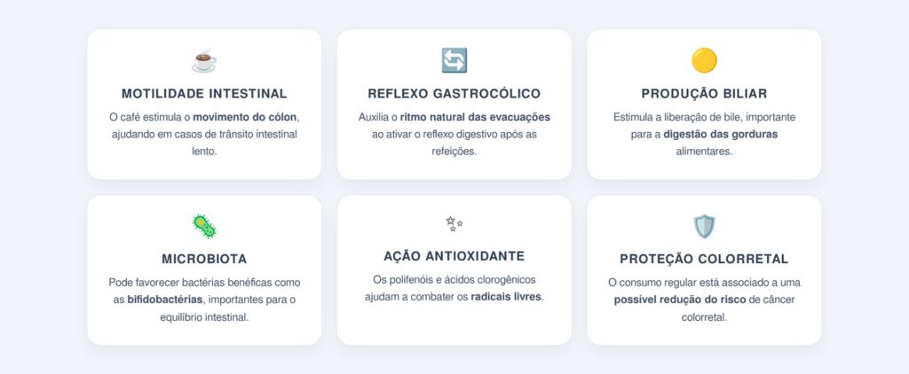 Quais benefícios o café oferece para o intestino?