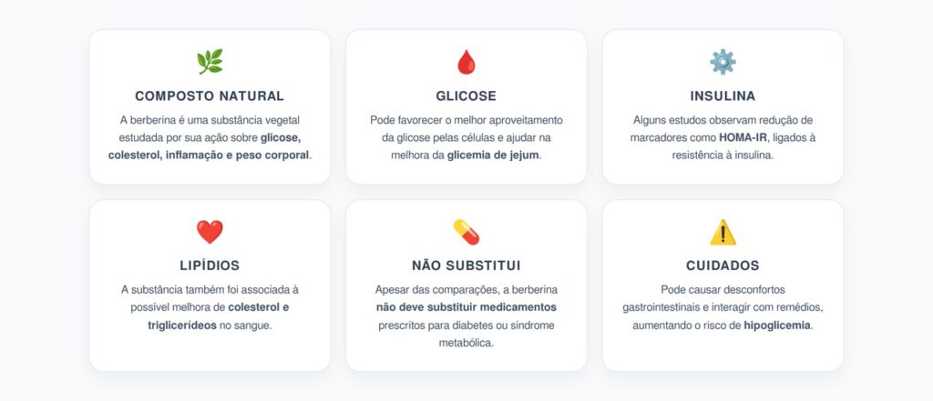 Berberina e Resistência à Insulina: Efeitos, Comparações e Cuidados