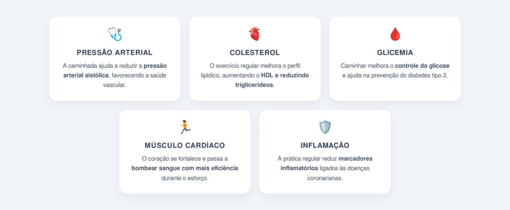 Como a caminhada protege o coração?