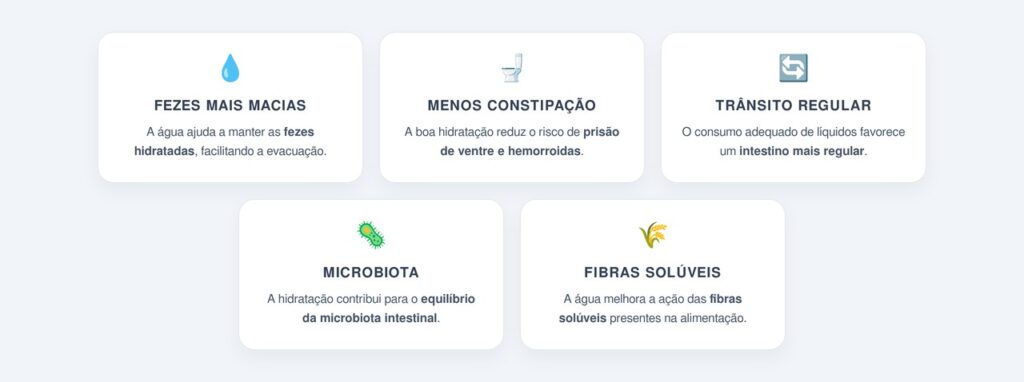 Como a hidratação ajuda no funcionamento do intestino?