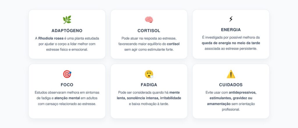 Rhodiola Rosea: A Planta Adaptógena Contra Cortisol Alto e Fadiga da Tarde
