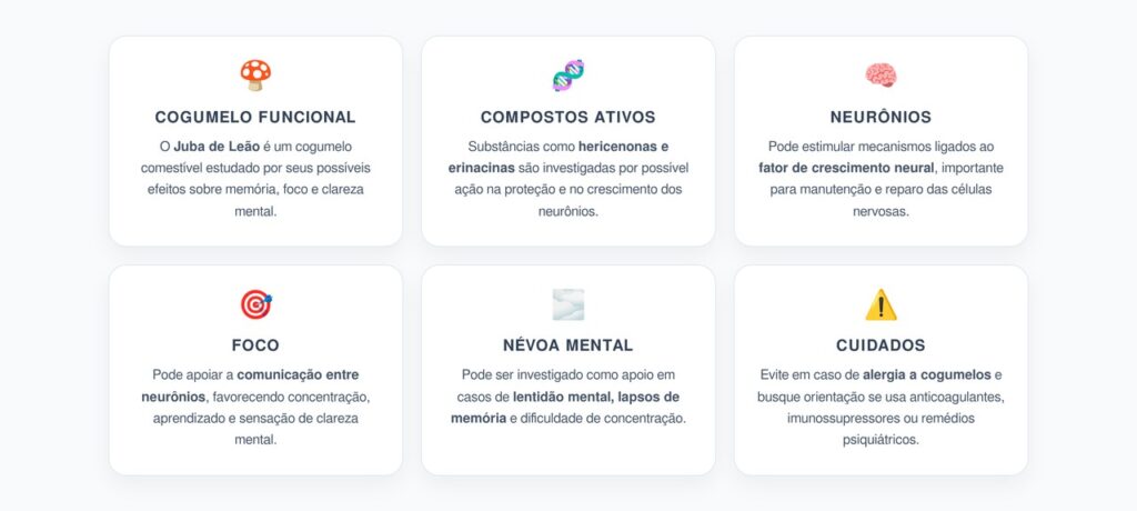 Juba de Leão no Cérebro: Memória, Foco e Clareza Mental