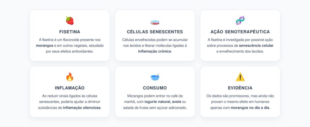Fisetina nos Morangos: Células Envelhecidas e Inflamação Silenciosa
