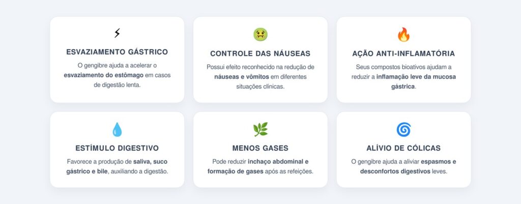 Quais benefícios o gengibre oferece para a digestão?