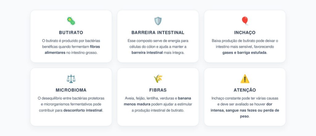 Butirato Baixo no Intestino: Inchaço Abdominal, Gases e Microbioma