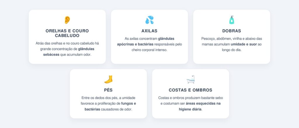 Quais são as 5 partes que precisam de atenção diária?