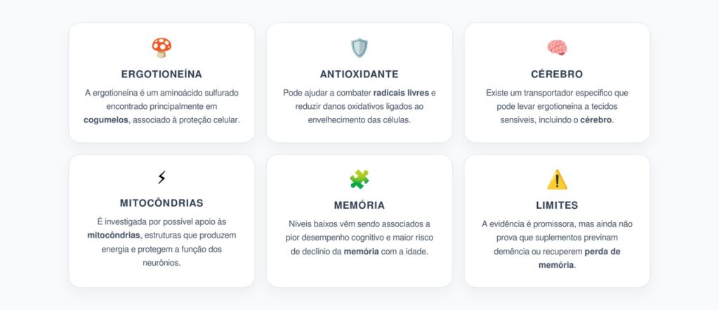 Ergotioneína dos Cogumelos: Memória, Antioxidantes e Longevidade Cerebral