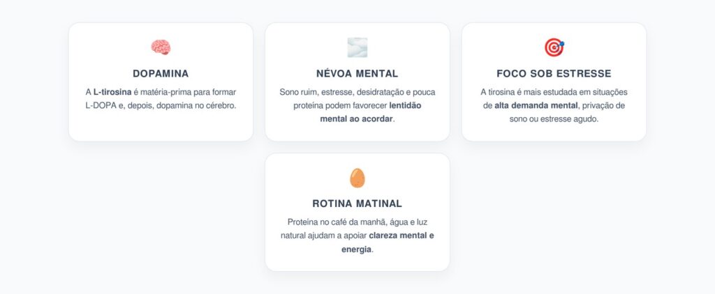 L-Tirosina e Dopamina: Como Reduzir a Névoa Mental pela Manhã