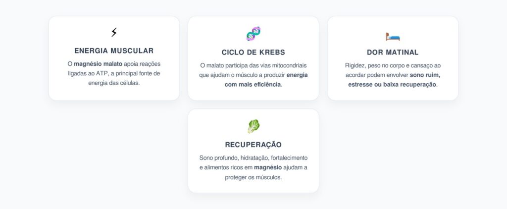 Magnésio Malato e Dor no Corpo ao Acordar: Energia Muscular e Recuperação