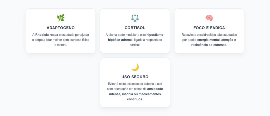 Rhodiola Rosea e Cortisol: Como a Raiz Ajuda na Resposta ao Estresse Crônico